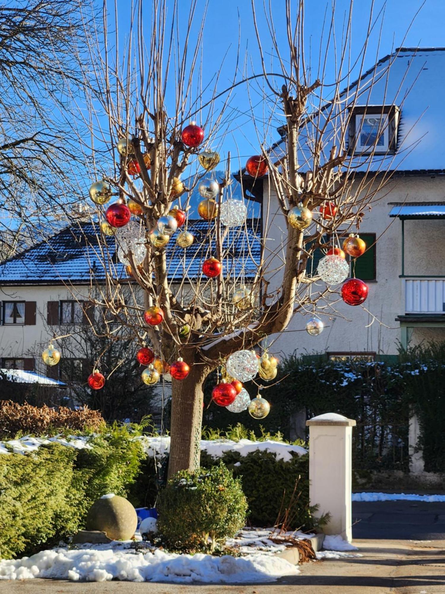Almrausch 3*